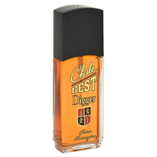 Positive Parfum men (brian Bossengton) Chale Best - Digger Туалетная вода 95 мл.