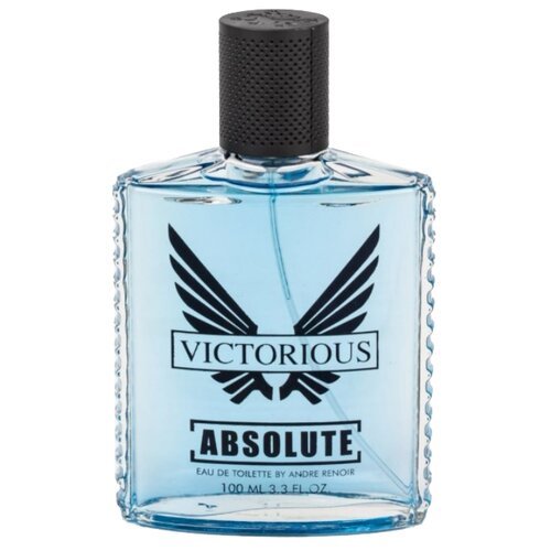 Today Parfum туалетная вода Absolute Victorious, 100 мл, 260 г