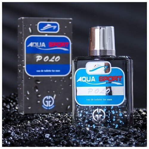 Туалетная вода мужская Positive parfum, AQUA SPORT POLO, 100 мл