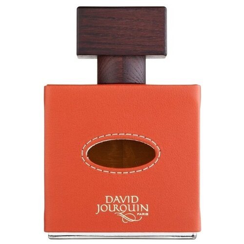 David Jourquin парфюмерная вода Vendôme Collection Cuir Mandarine, 100 мл
