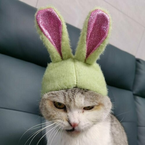 Симпатичные костюмы для домашних кошек и щенков, шапки с кроличьими ушками с блестками, повязки на голову