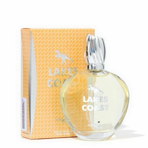 Парфюмерная вода Positive Parfum aa65 LAKES COAST edt65ml (9)