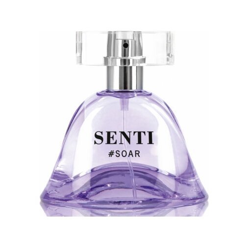 Dilis Parfum парфюмерная вода Senti Soar, 50 мл
