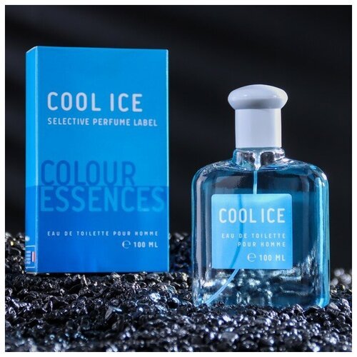 Туалетная вода мужская 'Colour essences, Cool Ice', 100 мл