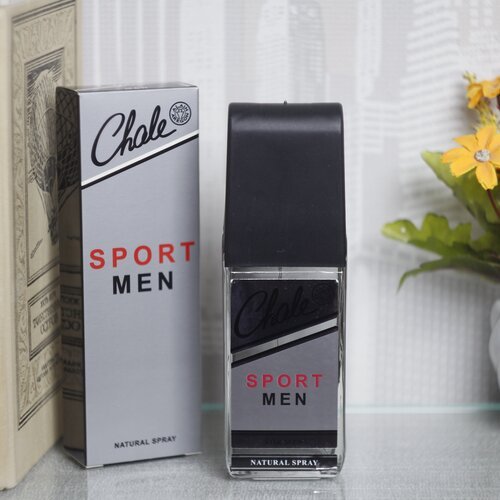 Positive Parfum, туалетная вода, Chale Sport Men, 100 мл